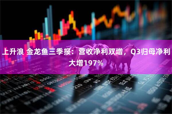 上升浪 金龙鱼三季报：营收净利双增，Q3归母净利大增197%