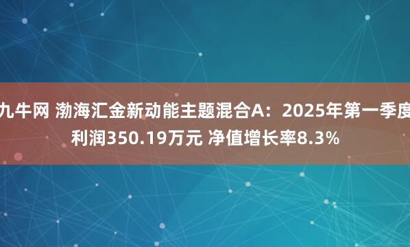 九牛网 渤海汇金新动能主题混合A：2025年第一季度利润350.19万元 净值增长率8.3%