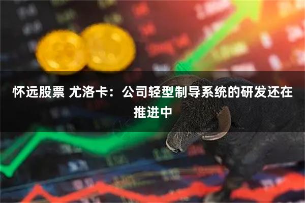怀远股票 尤洛卡：公司轻型制导系统的研发还在推进中