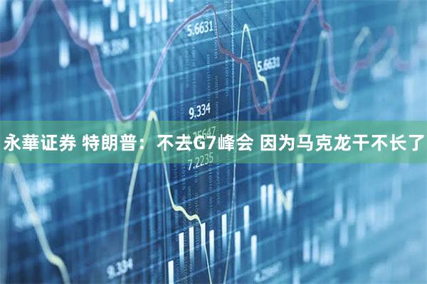 永華证券 特朗普：不去G7峰会 因为马克龙干不长了